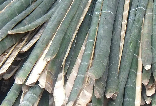 Ningguo Kuntai Bamboo dan Wood Co., Ltd.