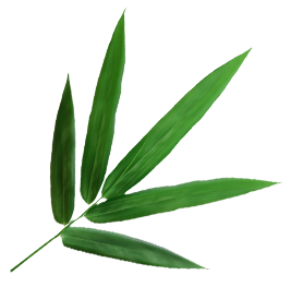 Ningguo Kuntai Bamboo dan Wood Co., Ltd.